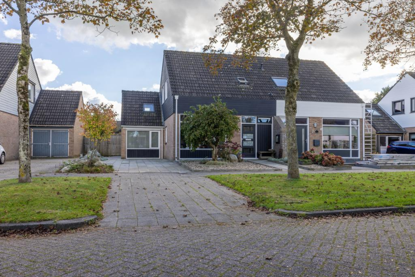 Grimbeert 5 Kollum - Afbeelding 4.jpg