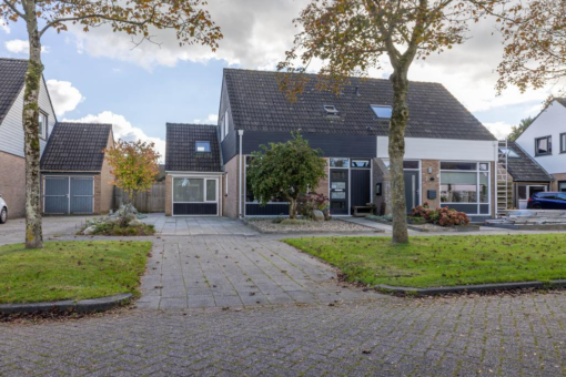 Grimbeert 5 Kollum - Afbeelding 4.jpg