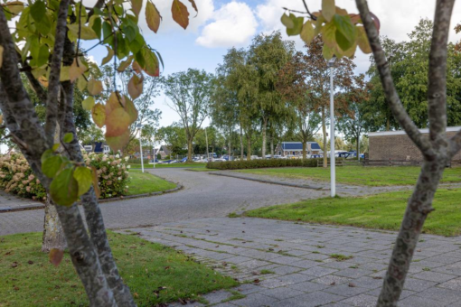 Grimbeert 5 Kollum - Afbeelding 5.jpg