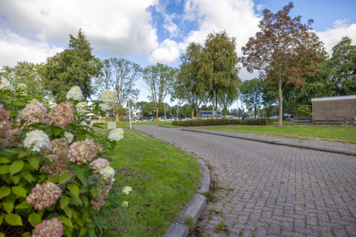 Grimbeert 5 Kollum - Afbeelding 6.jpg