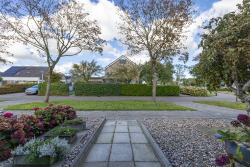 Grimbeert 5 Kollum - Afbeelding 8.jpg