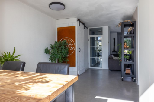 Grimbeert 5 Kollum - Afbeelding 13.jpg