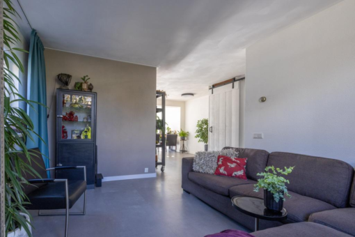 Grimbeert 5 Kollum - Afbeelding 14.jpg