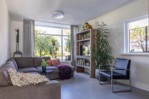 Grimbeert 5 Kollum - Afbeelding 15.jpg