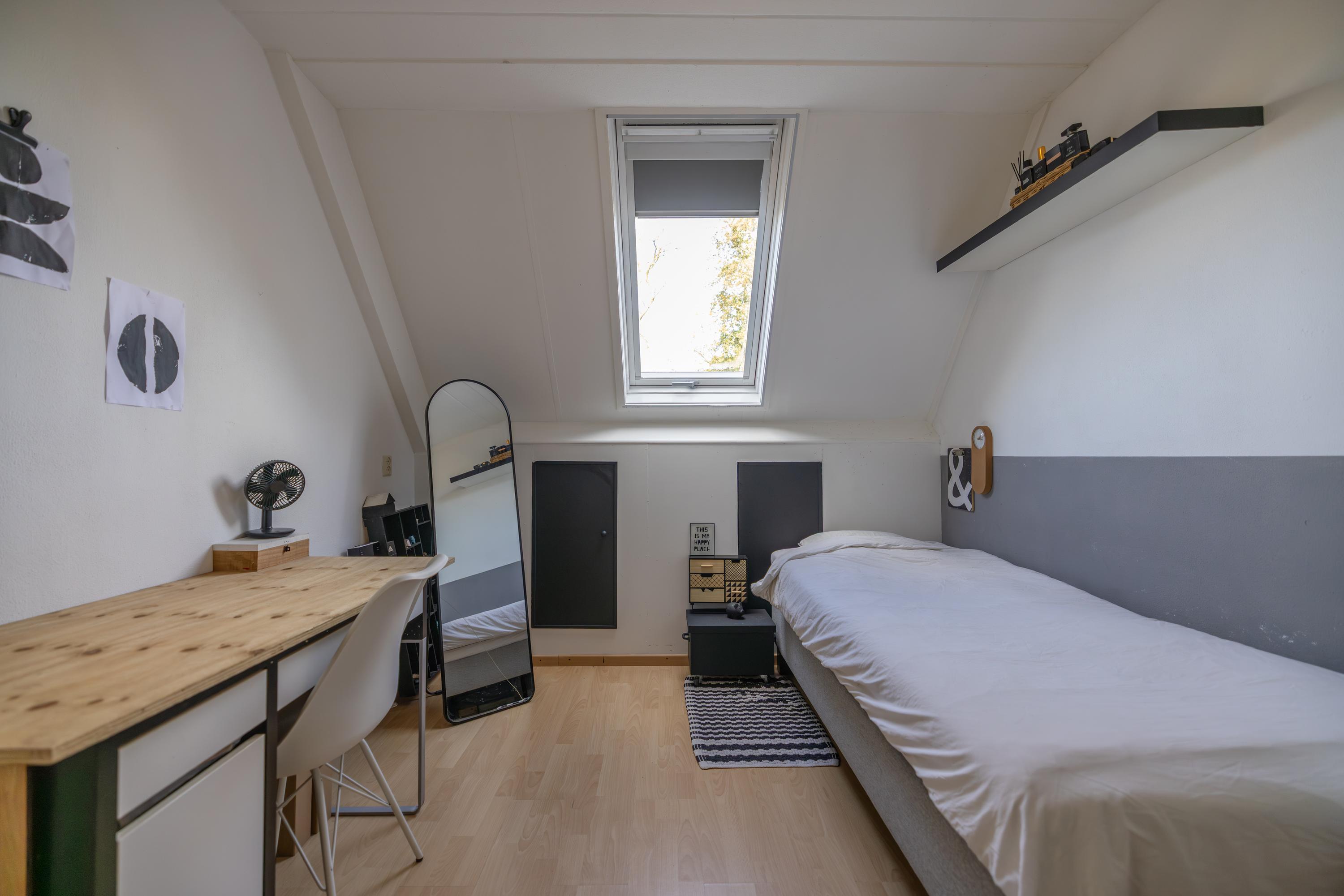 Groot Hoefblad 14 Grootegast - Afbeelding 26.jpg