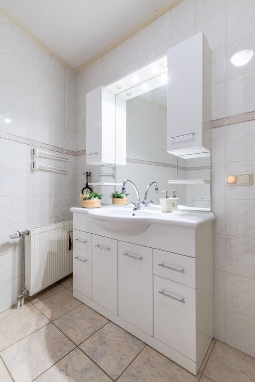 Groot Hoefblad 16 Grootegast - Afbeelding 26.jpg