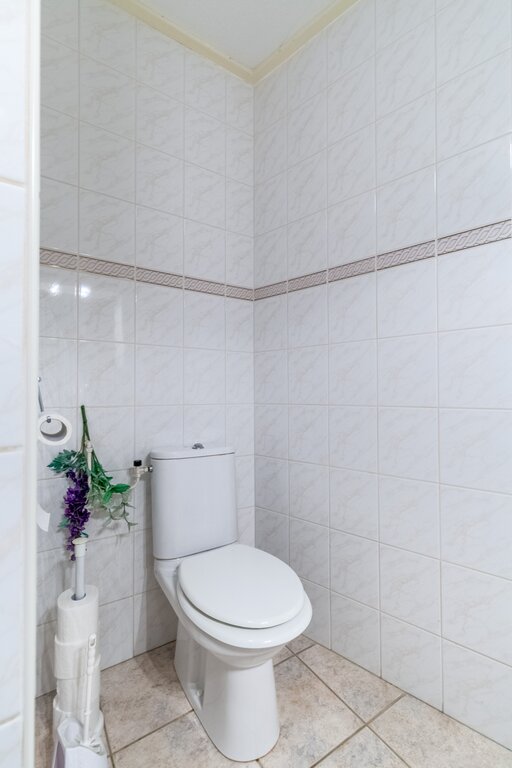 Groot Hoefblad 16 Grootegast - Afbeelding 28.jpg