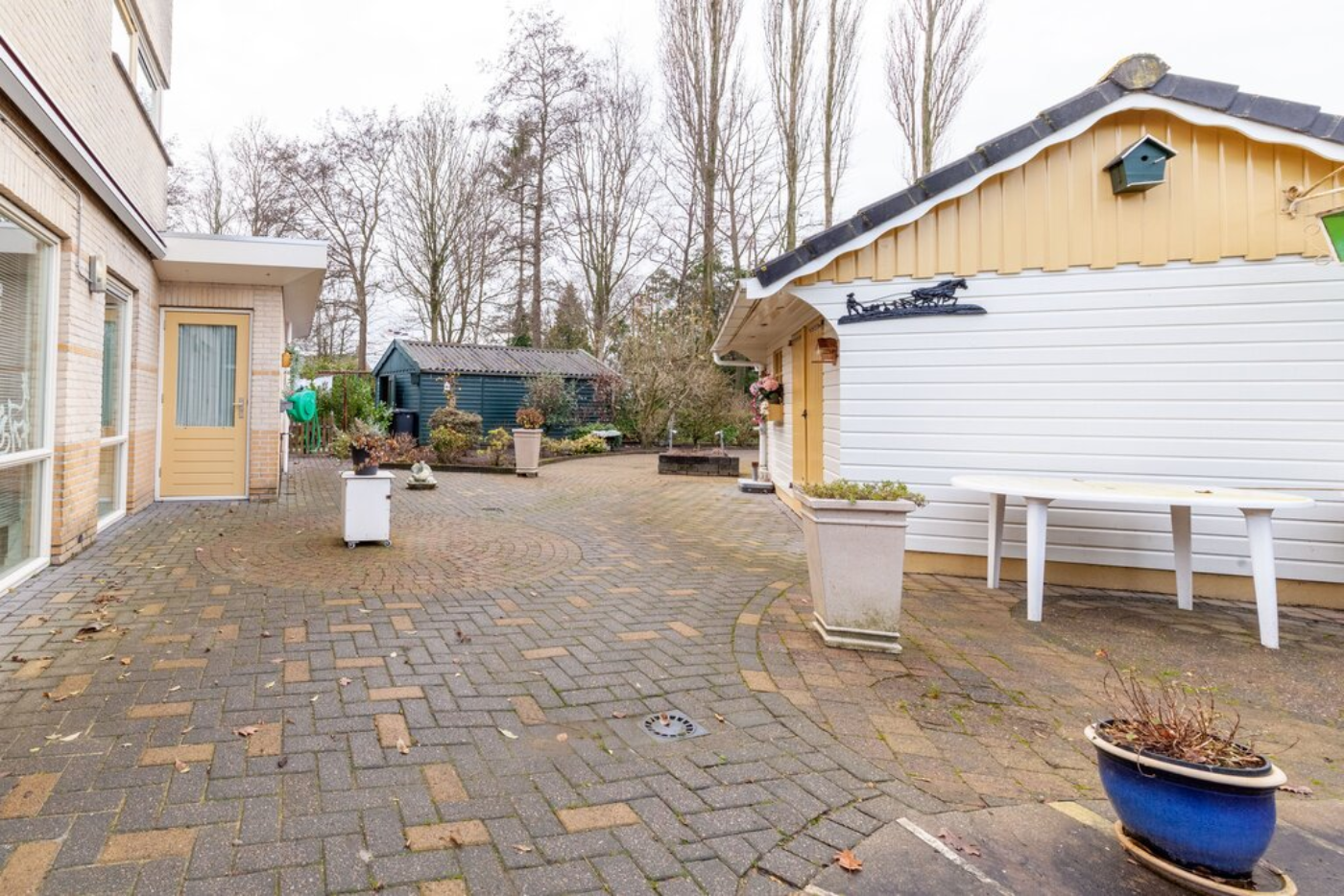 Groot Hoefblad 16 Grootegast - Afbeelding 4.jpg