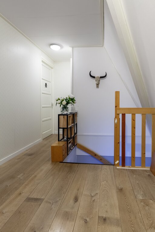 H.G. van der Veenstrjitte 18 Driezum - Afbeelding 16.jpg