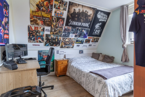 H.G. van der Veenstrjitte 18 Driezum - Afbeelding 35.jpg