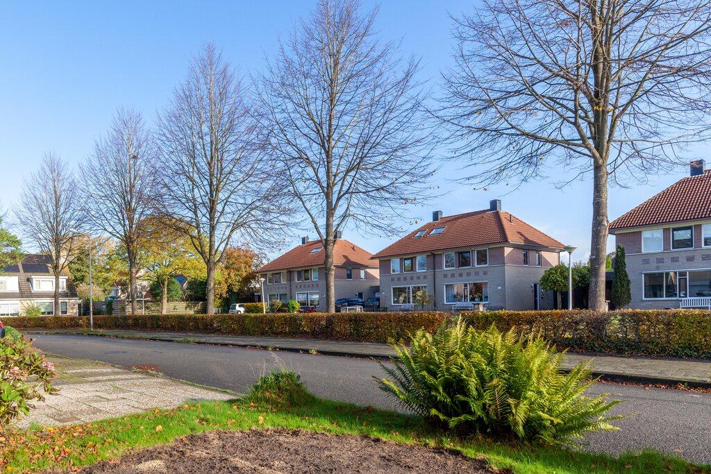 Hanebalken 75 Drachten - Afbeelding 36.jpg