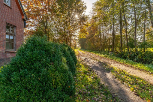 Harkereed 17 Doezum - Afbeelding 6.jpg