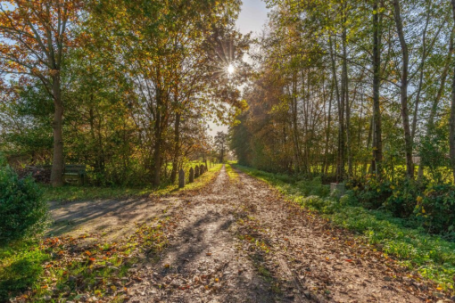 Harkereed 17 Doezum - Afbeelding 14.jpg