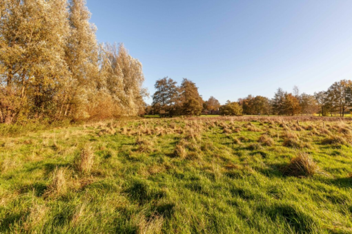 Harkereed 17 Doezum - Afbeelding 57.jpg