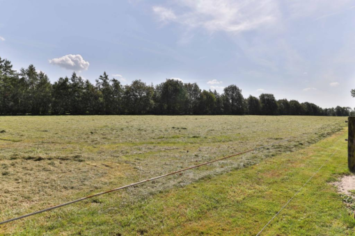 Heerenweg 13 Sumar - Afbeelding 49.jpg