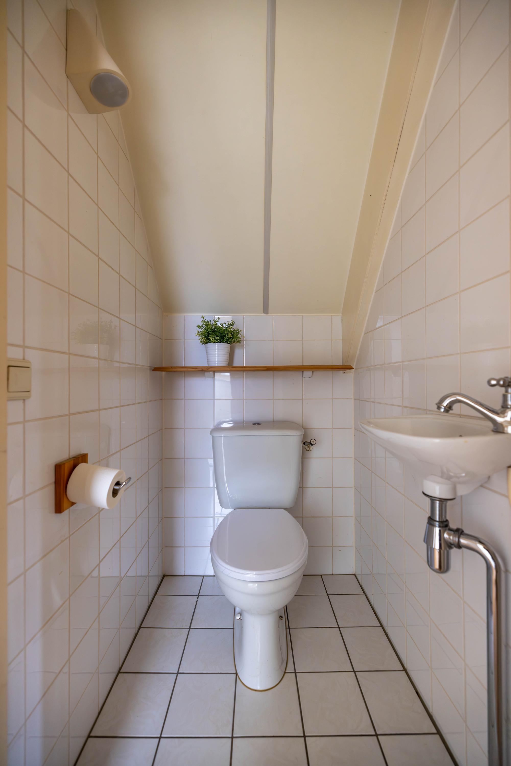 Hoendiep N.Z. 11 Stroobos - Afbeelding 43.jpg