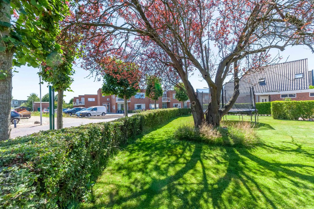 Ike Buorren 2 Drogeham - Afbeelding 34.jpg