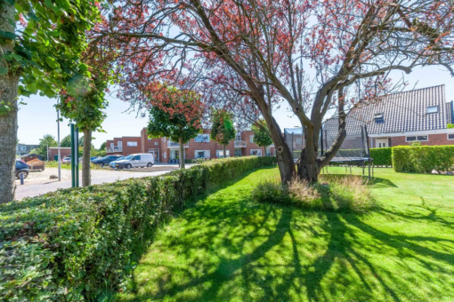 Ike Buorren 2 Drogeham - Afbeelding 34.jpg