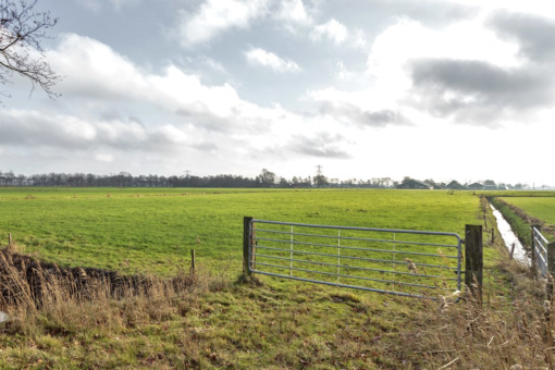 Ipo Haaimaweg 9 Grootegast - Afbeelding 14.jpg