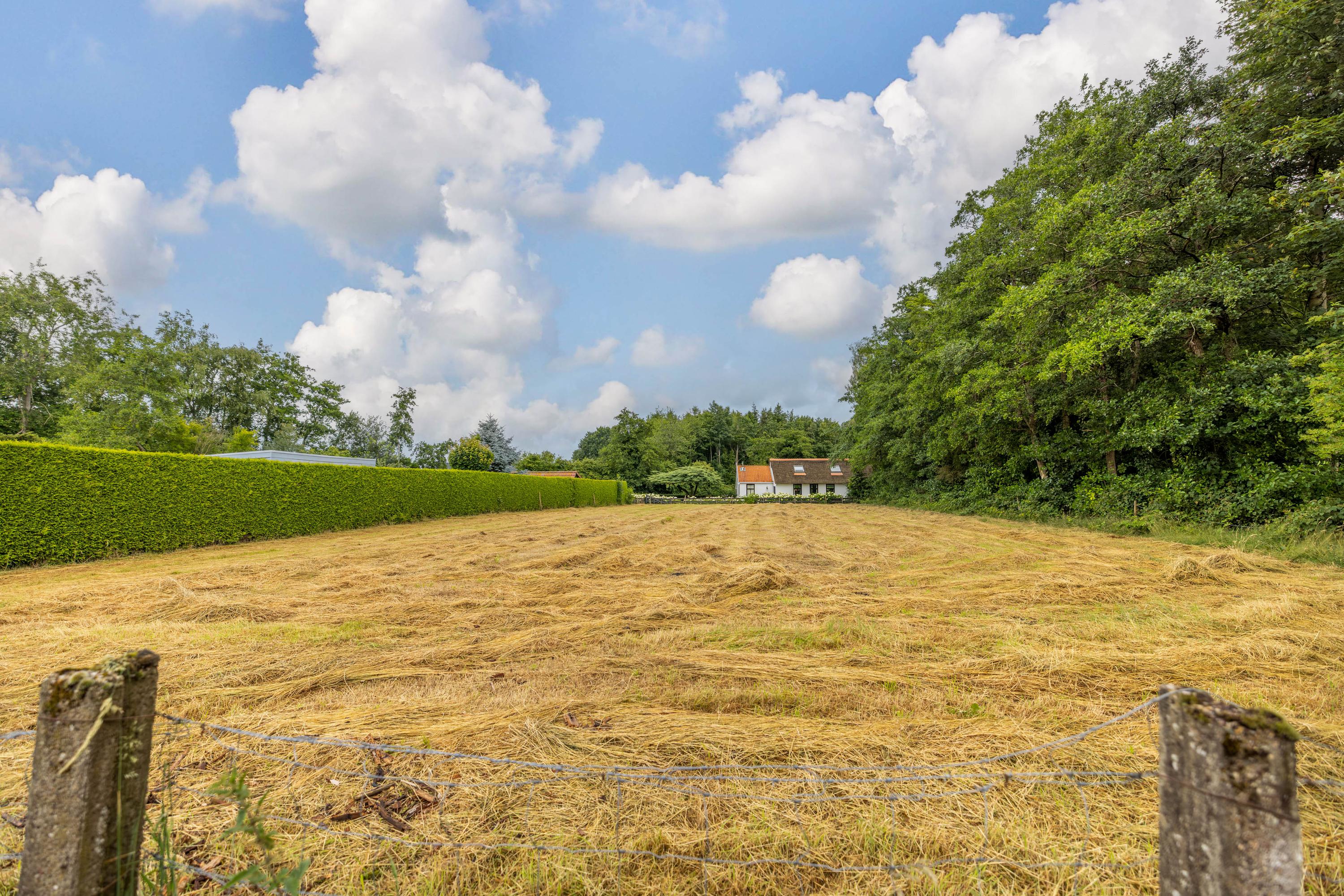 It Heideloantsje 20 Twijzelerheide - Afbeelding 6.jpg