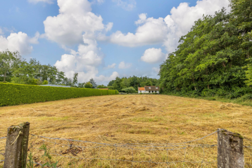 It Heideloantsje 20 Twijzelerheide - Afbeelding 6.jpg
