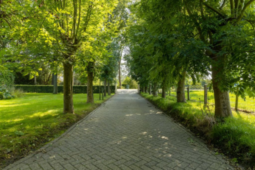 It Langfal 4 Surhuizum - Afbeelding 15.jpg