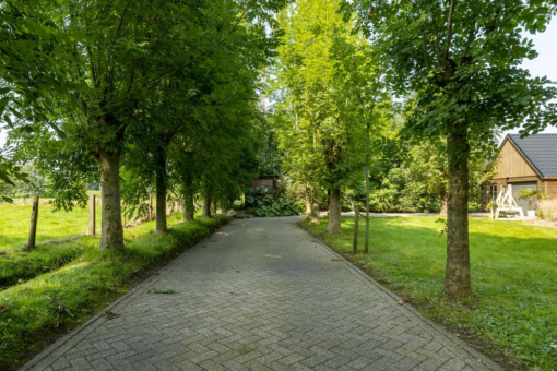 It Langfal 4 Surhuizum - Afbeelding 46.jpg