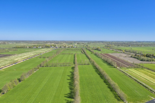 It West 48 Augustinusga - Afbeelding 39.jpg