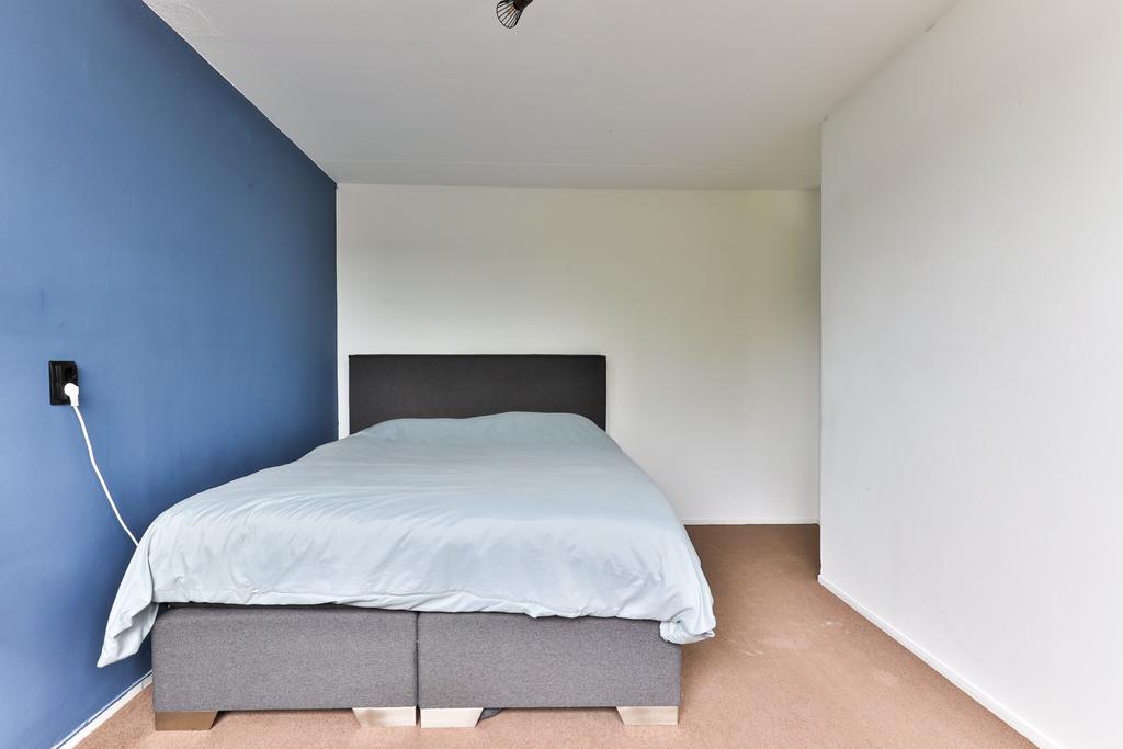 Jongamastate 22 Leeuwarden - Afbeelding 24.jpg