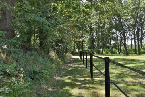 Joute van der Meerweg 7 Sumar - Afbeelding 57.jpg