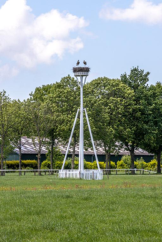 Julianalaan 6 Buitenpost - Afbeelding 8.jpg