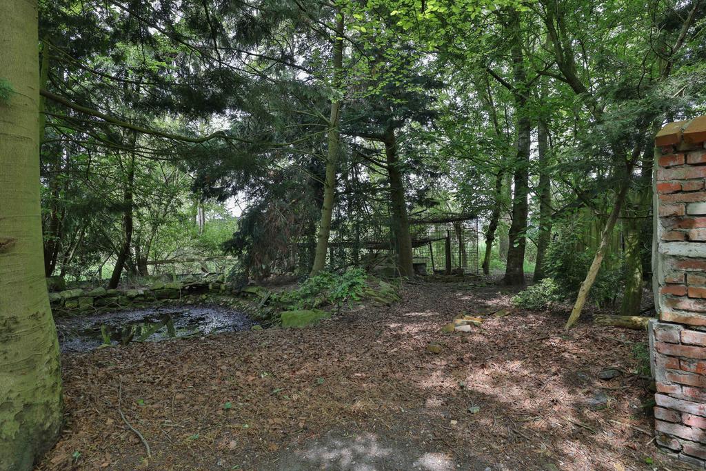 Koarteloane 64 Kollumersweach - Afbeelding 29.jpg