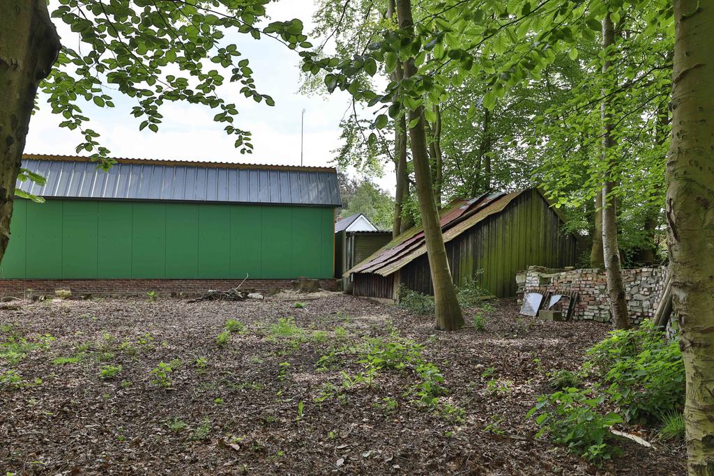 Koarteloane 64 Kollumersweach - Afbeelding 37.jpg