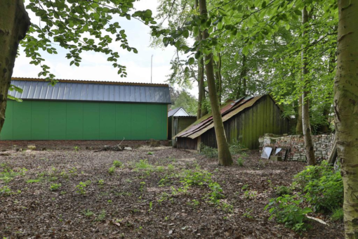 Koarteloane 64 Kollumersweach - Afbeelding 37.jpg