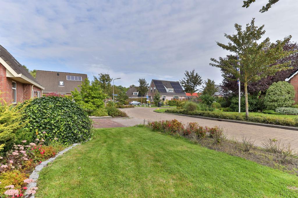 Koekoeksblom 7 Twijzelerheide - Afbeelding 10.jpg