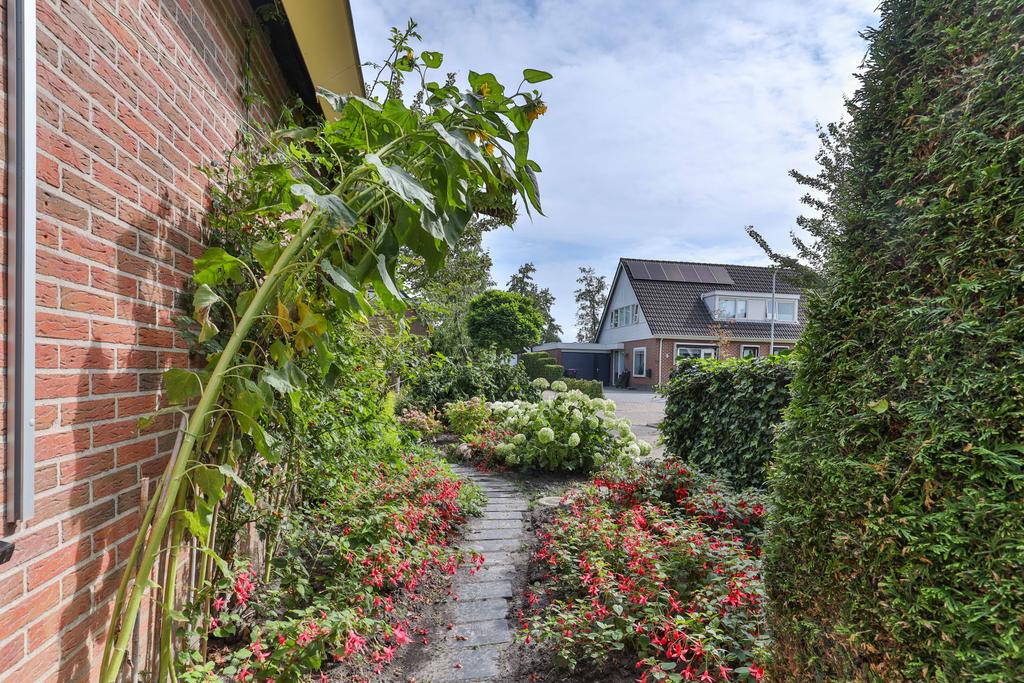 Koekoeksblom 7 Twijzelerheide - Afbeelding 11.jpg