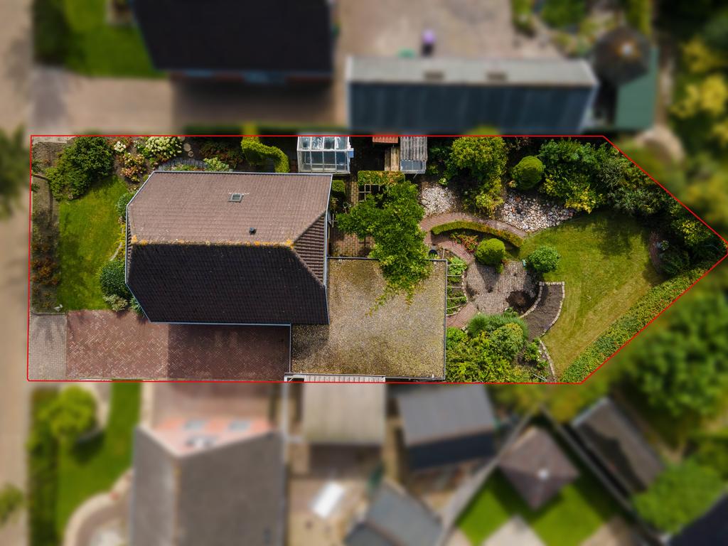 Koekoeksblom 7 Twijzelerheide - Afbeelding 2.jpg