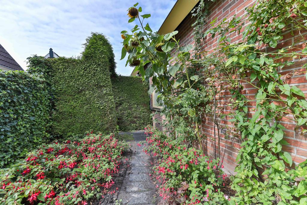 Koekoeksblom 7 Twijzelerheide - Afbeelding 9.jpg