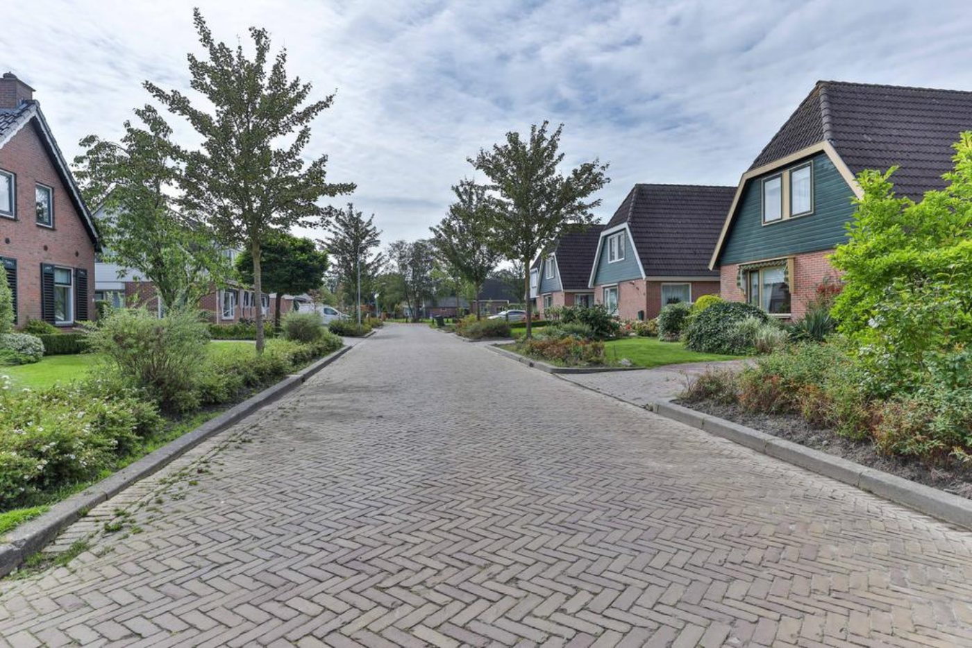 Koekoeksblom 7 Twijzelerheide - Afbeelding 3.jpg