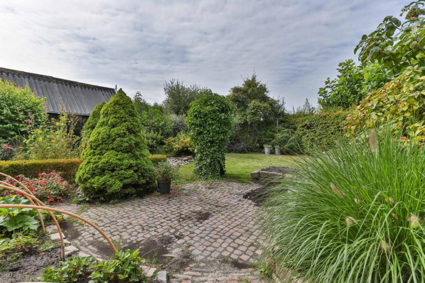 Koekoeksblom 7 Twijzelerheide - Afbeelding 4.jpg