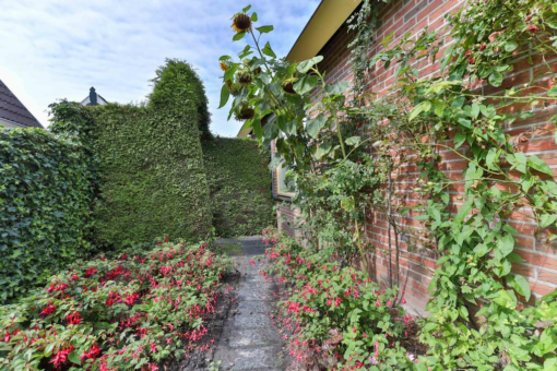 Koekoeksblom 7 Twijzelerheide - Afbeelding 9.jpg