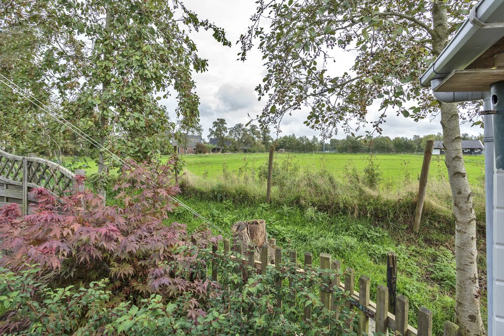 Koekoeksblom 8 Twijzelerheide - Afbeelding 17.jpg