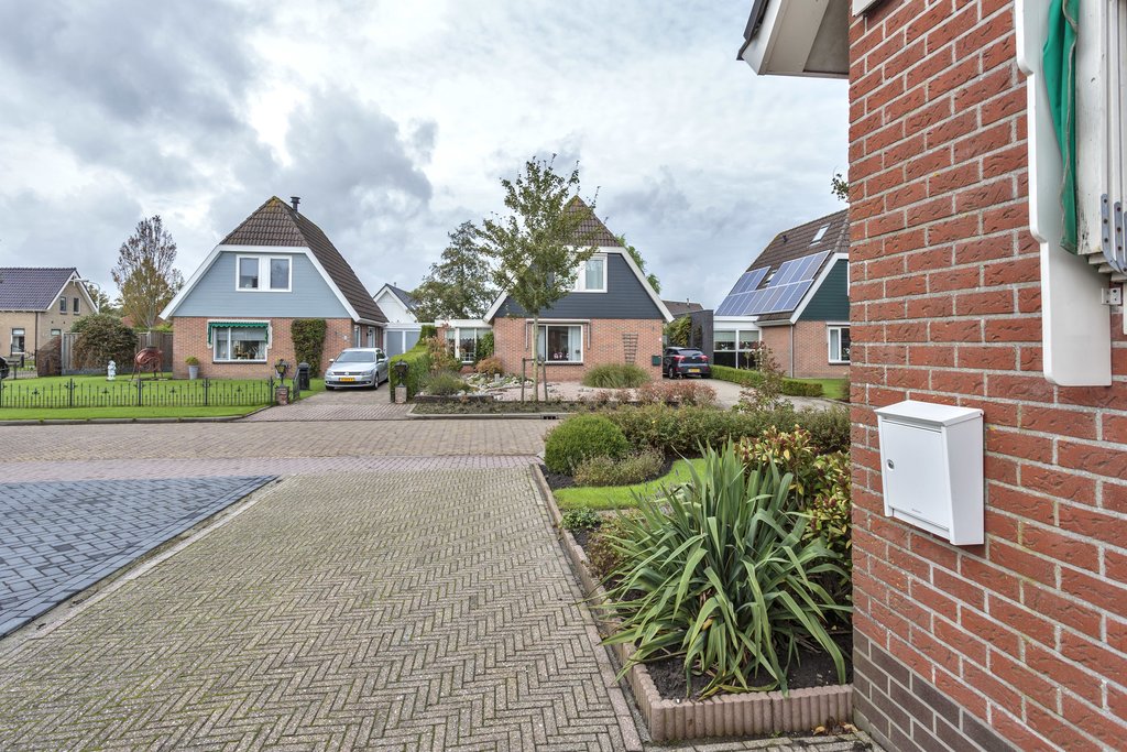 Koekoeksblom 8 Twijzelerheide - Afbeelding 45.jpg