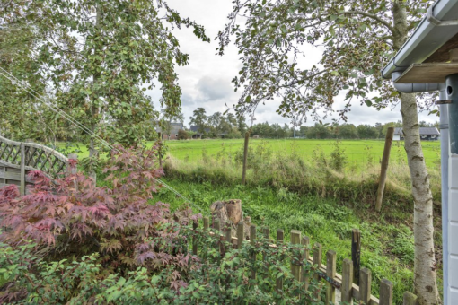 Koekoeksblom 8 Twijzelerheide - Afbeelding 17.jpg