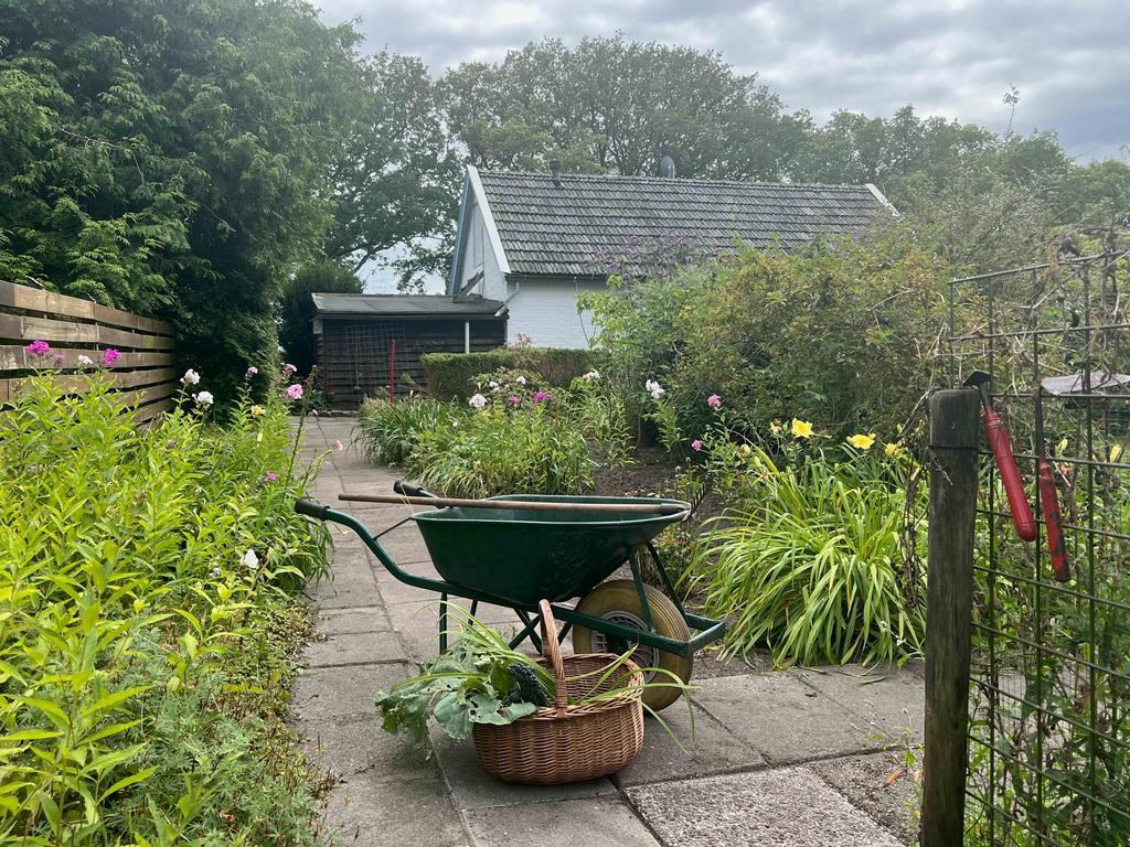 Koelandsweg 11 Donkerbroek - Afbeelding 13.jpg