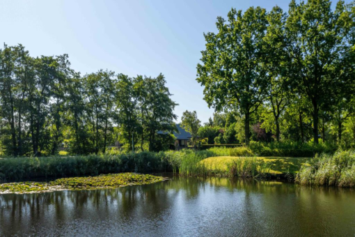 Lange Reed 13 De Westereen - Afbeelding 2.jpg