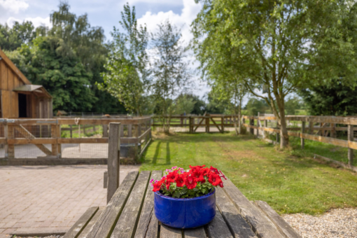 Langeweg 52 Grootegast - Afbeelding 2.jpg