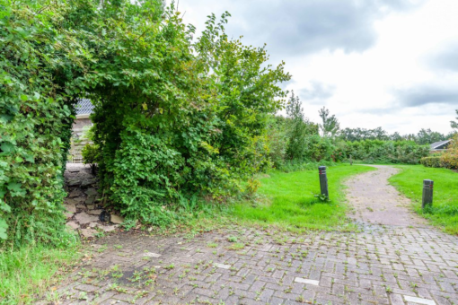 Langhof 6 Jistrum - Afbeelding 5.jpg