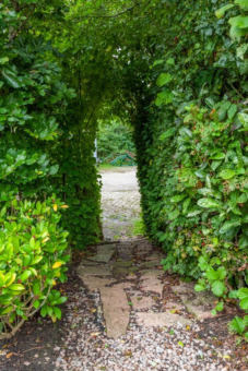 Langhof 6 Jistrum - Afbeelding 10.jpg