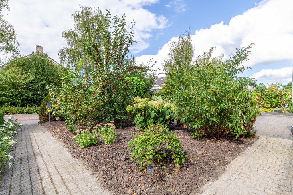 Langhof 6 Surhuisterveen - Afbeelding 4.jpg